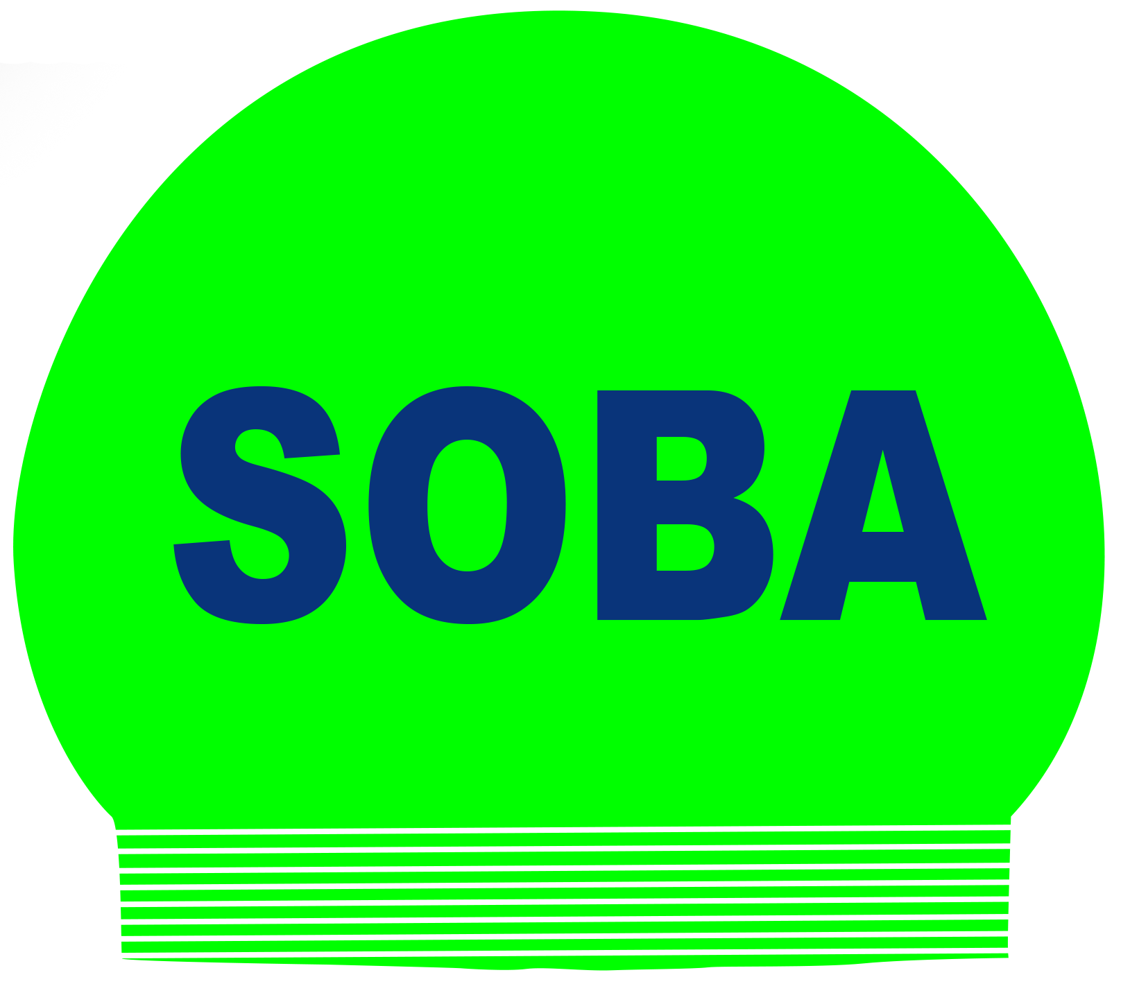 SOBA team swim cap