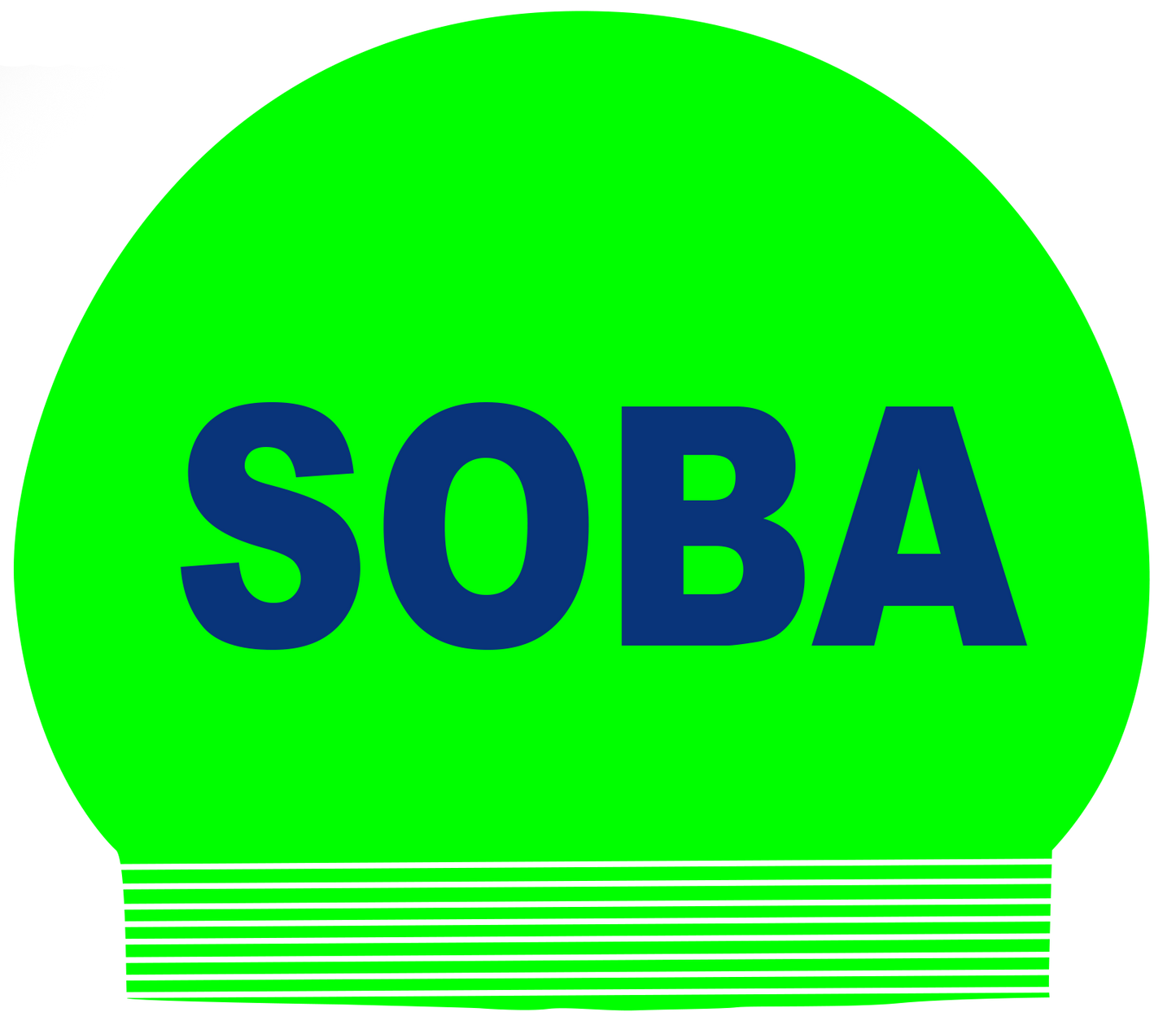SOBA team swim cap