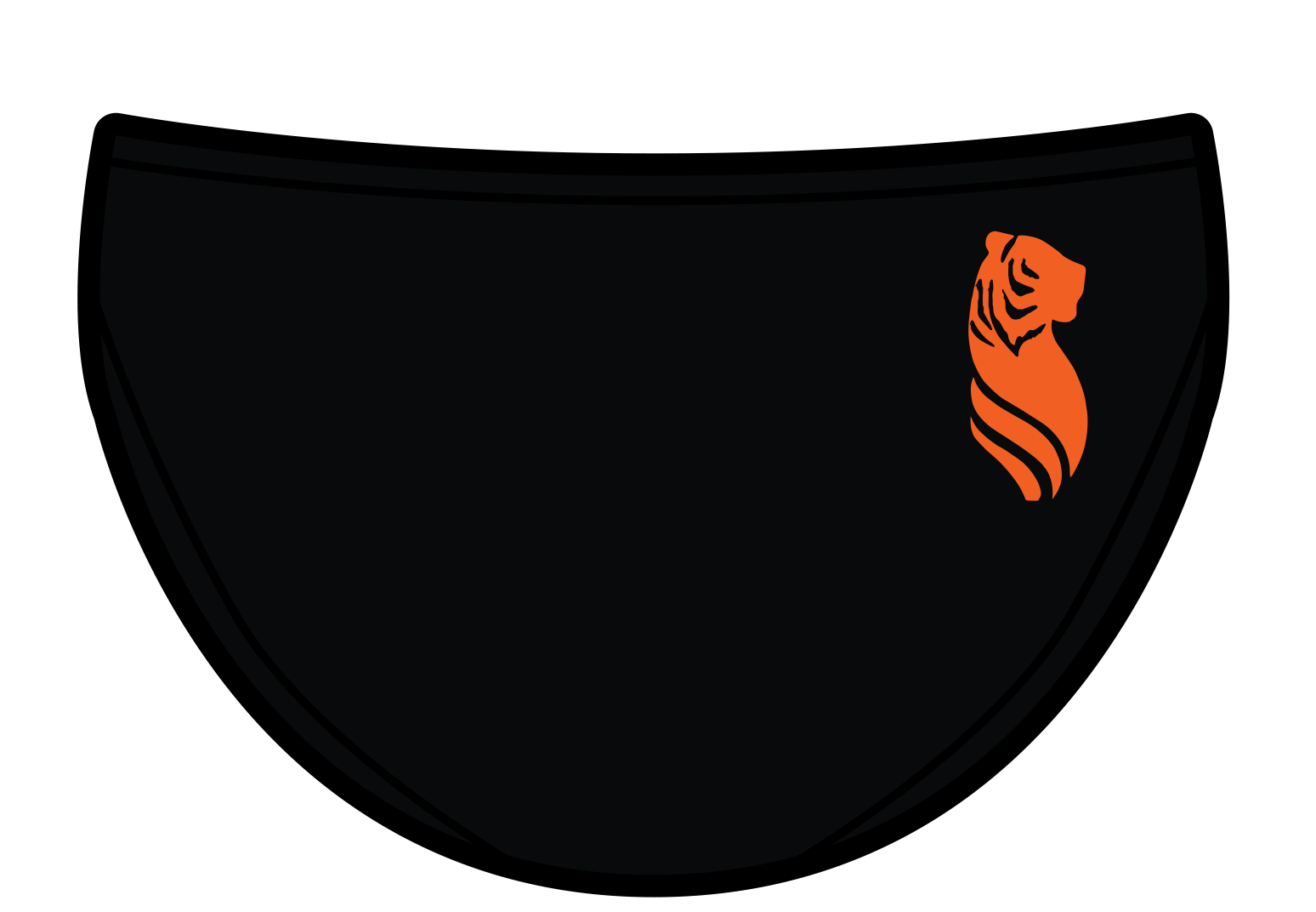 South Pasadena Sea Tigers team Brief