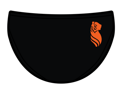South Pasadena Sea Tigers team Brief