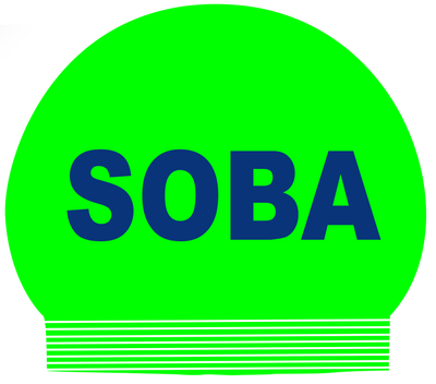 SOBA team swim cap
