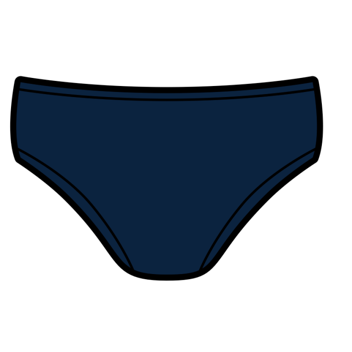 Patriot Aquatics Swim Club Brief